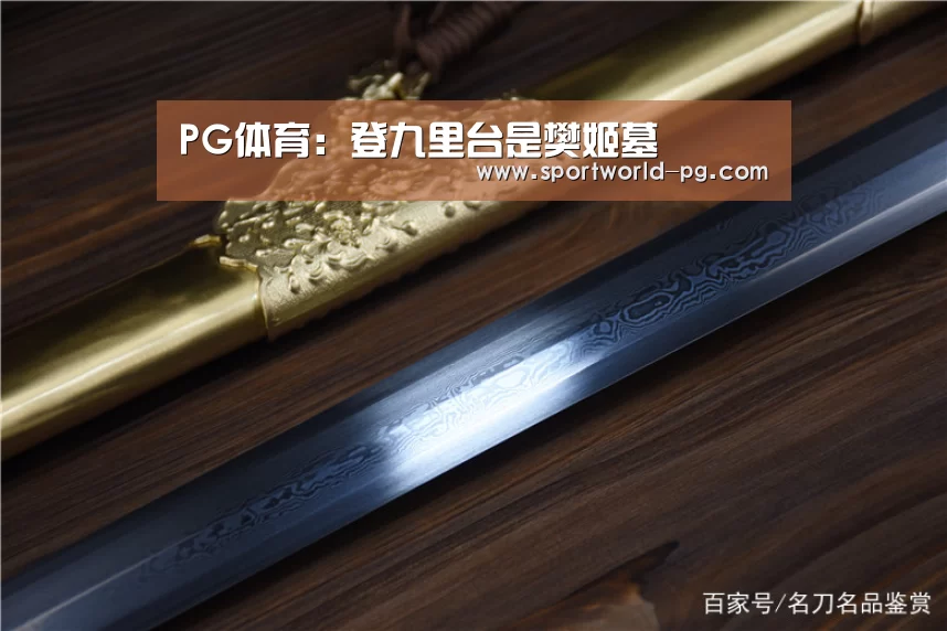 PG捕鱼