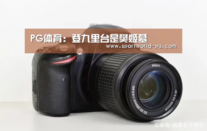 PG捕鱼
