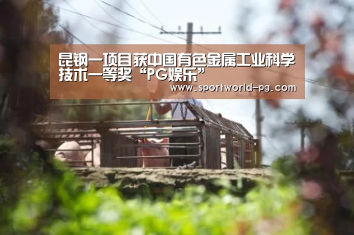 PG捕鱼