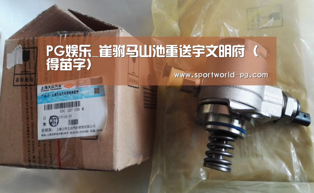 PG体育